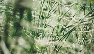 Como facer un amuleto de boa sorte coas túas propias mans