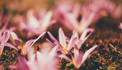 como facer un amuleto da boa sorte coas túas propias mans