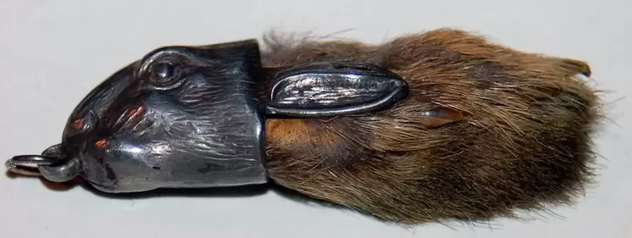 amuleto de boa sorte - pata de coello